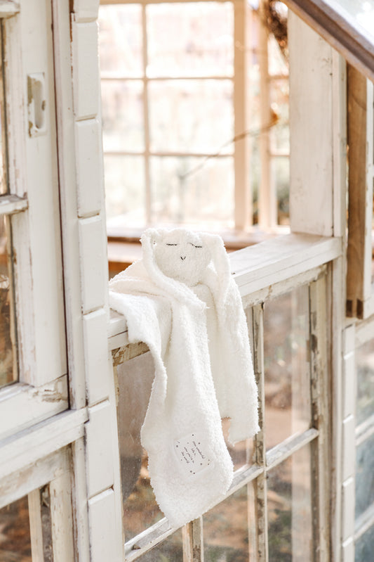 "You are loved, little one." Bunny Baby Lovey Blanket